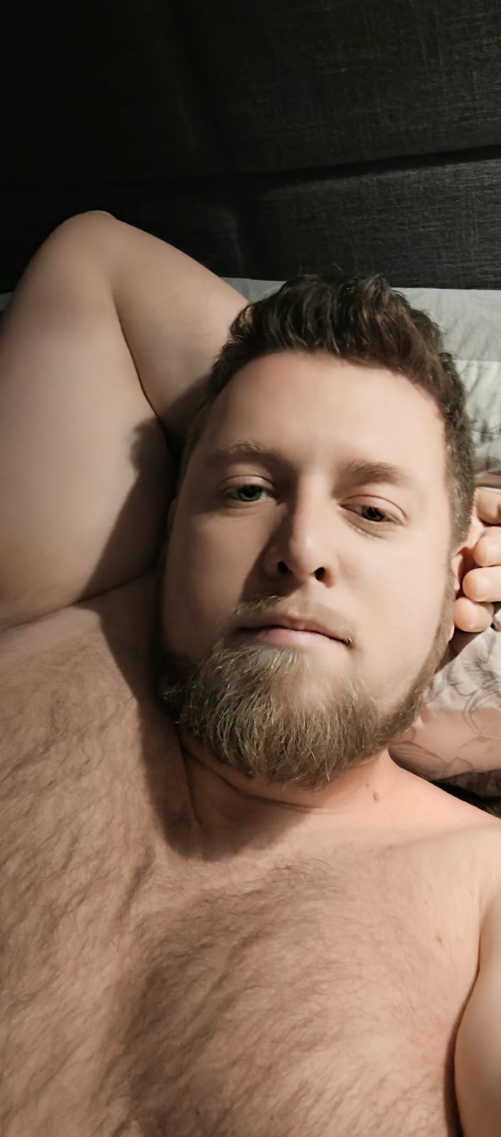 Profil de Rhaled, 36 ans, Gay rencontre à Stels